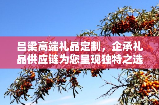 吕梁高端礼品定制，企承礼品供应链为您呈现独特之选