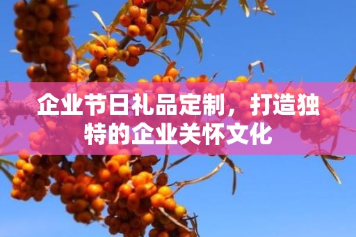 企业节日礼品定制，打造独特的企业关怀文化
