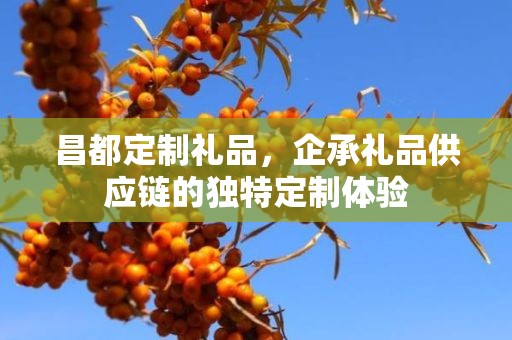 昌都定制礼品，企承礼品供应链的独特定制体验